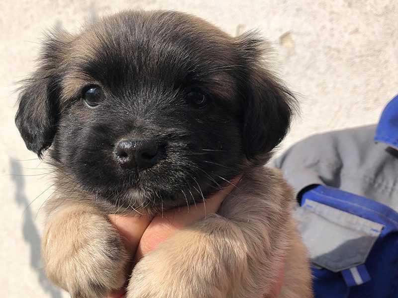 Découvrez tout le chemin parcouru par ROLDA et seulement grâce à des personnes comme vous.